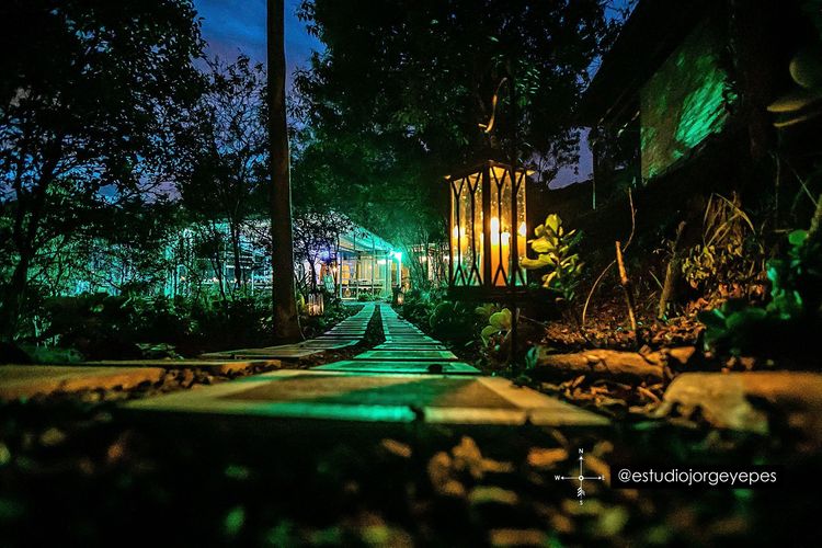 Camino del bosque iluminado con faroles de noche