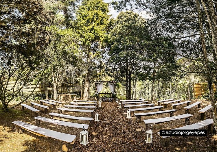 Bancas de madera para la ceremonia en el bosque